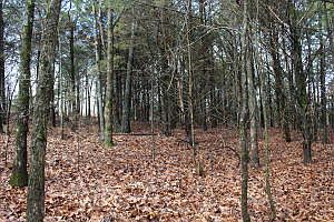 1st image of LOT 3 Lot 3 Pine Valley Dr