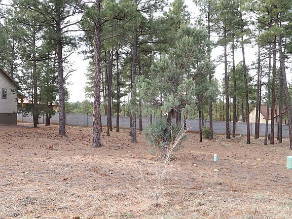2nd image of 1251 E Lilly Ln