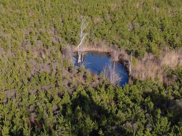 0 Bay Catfish Rd, Latta, SC 29565