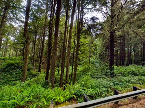 0 Roosevelt Beach, Pacific Beach, WA 98571