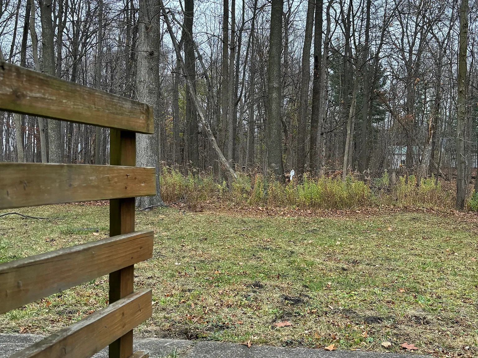 2 bed, 750 sqft, $950 — Photo 2