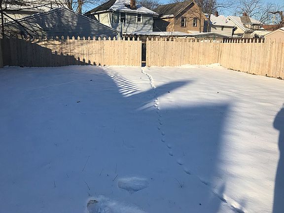 4th image of 312 Augusta Ave