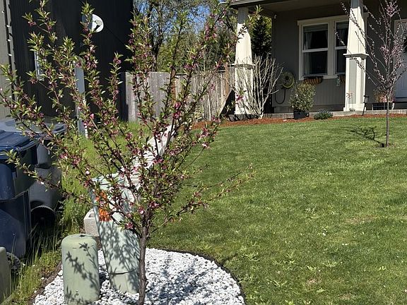 3rd image of 6074 Pebble Ct