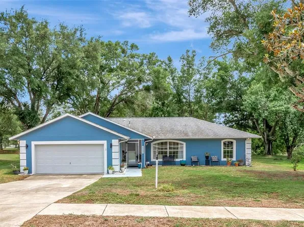 12500 Draw Dr, Grand Island, FL 32735