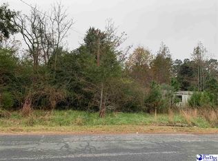 1006 Gause Canal Rd, Coward, SC 29530