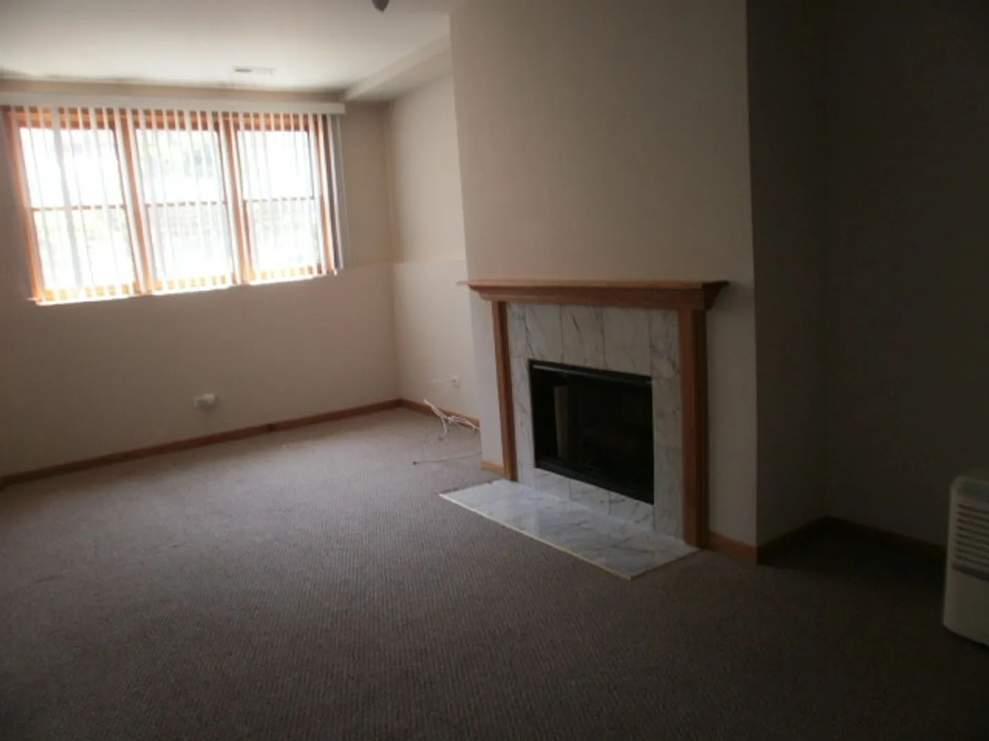 Kennelly Properties - 1336 — Photo 2