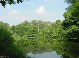 Norwalk Rd, Medina, OH 44256