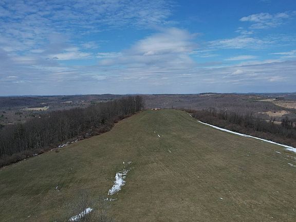 4th image of 2061 Curll Rd