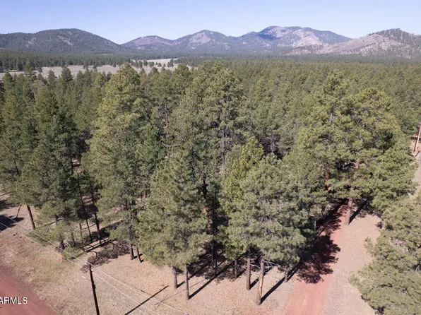 7592 N STEPHENSON Way #00, Parks, AZ 86018