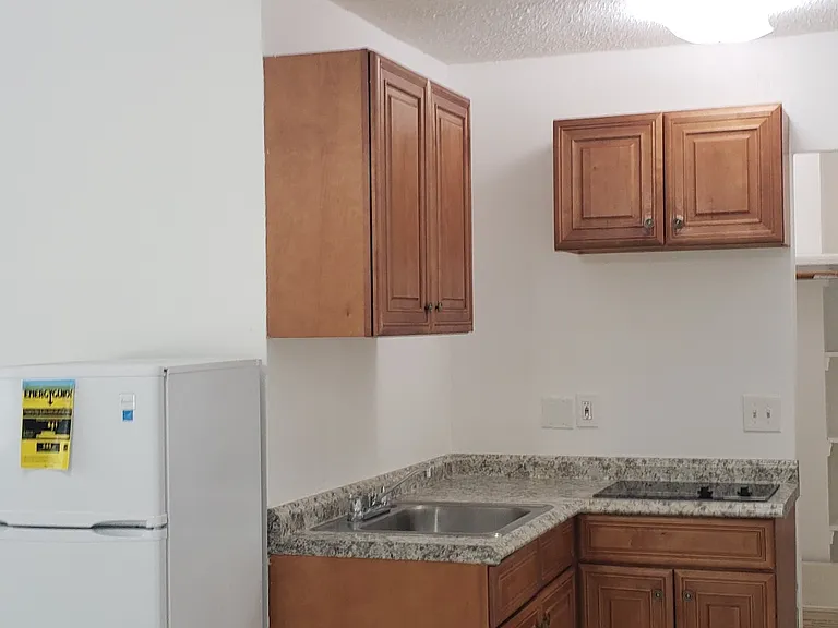 317 SE 10th Ave #4 — Photo 10