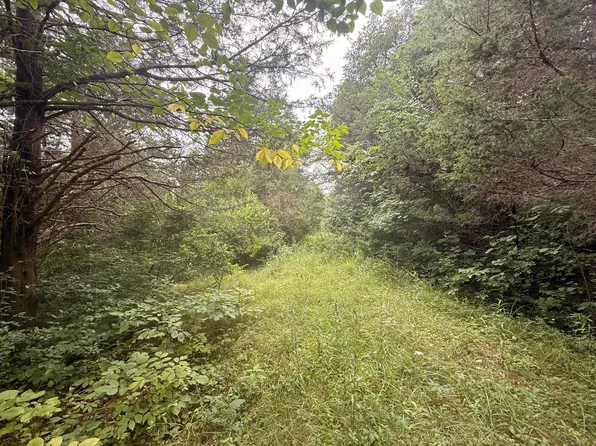 815 Waterworks Rd, Williamstown, KY 41097