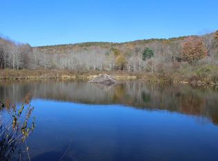 0 Gregory Hollow Rd, Hamden, NY 13782