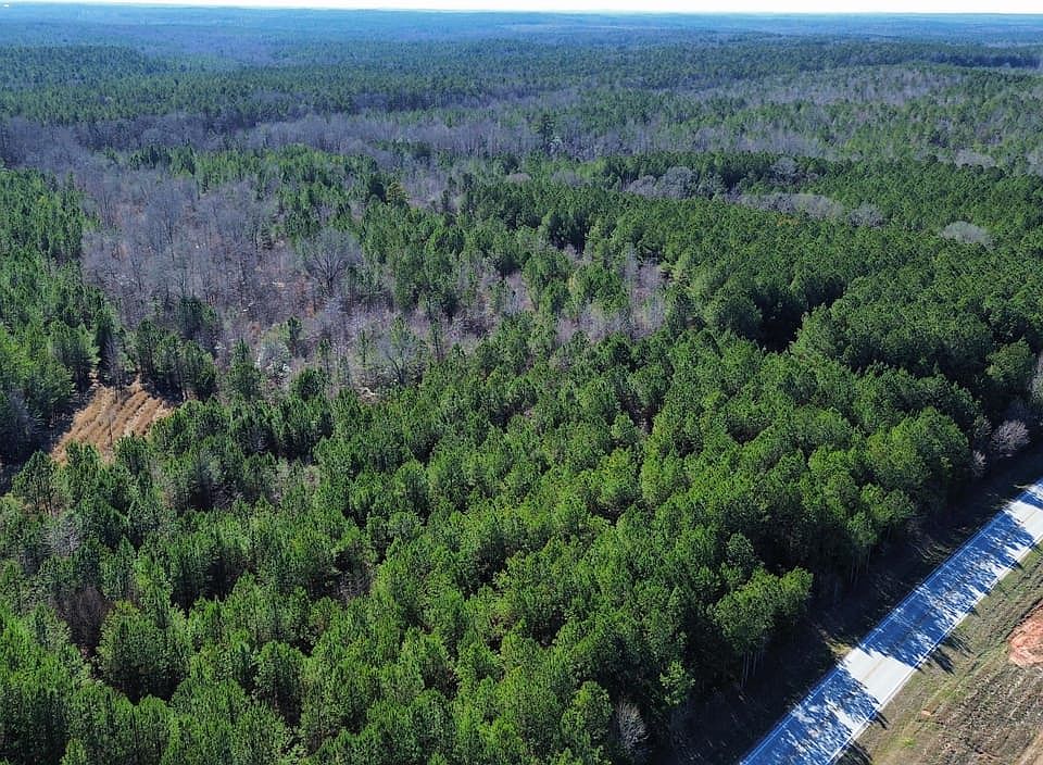 Dji Fly 20260113 135736 239 1768331022037 Photo Optimized