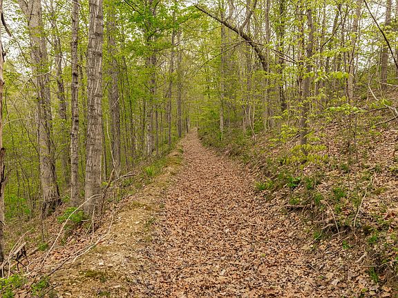 95th image of 1103 Johnny Spears Rd