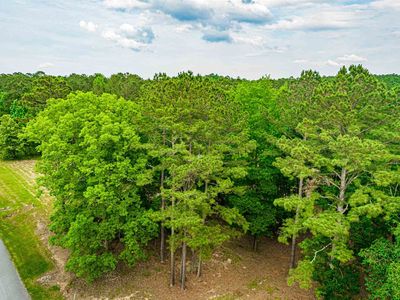 1041 Forrest Highlands #1010/1009, Greensboro, GA, 30642