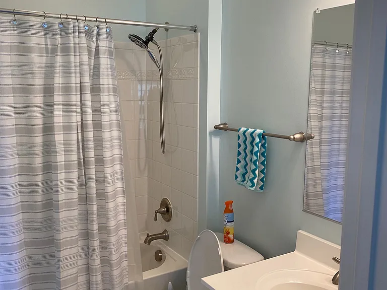 2nd Bathroom - tub/shower