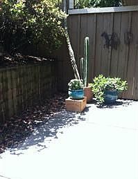 3rd image of 1685 Bayridge Way APT 207