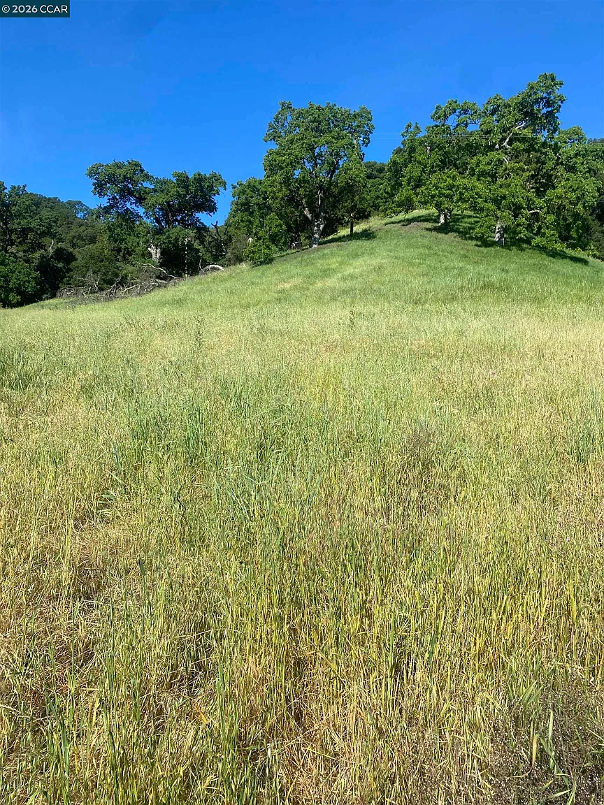 Toyon Rd photo 1