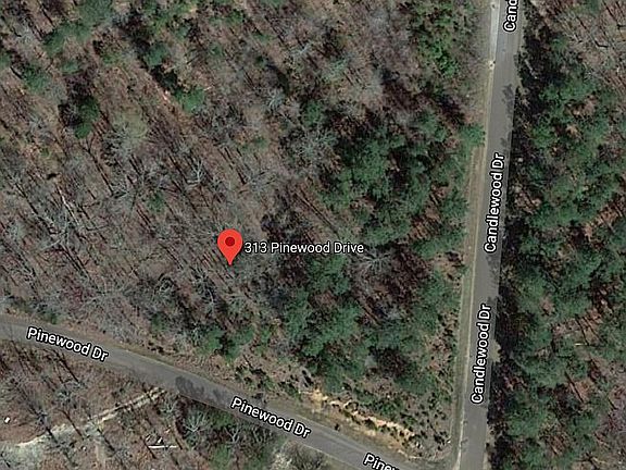 3rd image of 313 Pinewood Dr