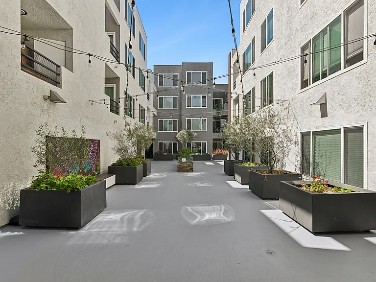 Pine at 6th — Photo 10