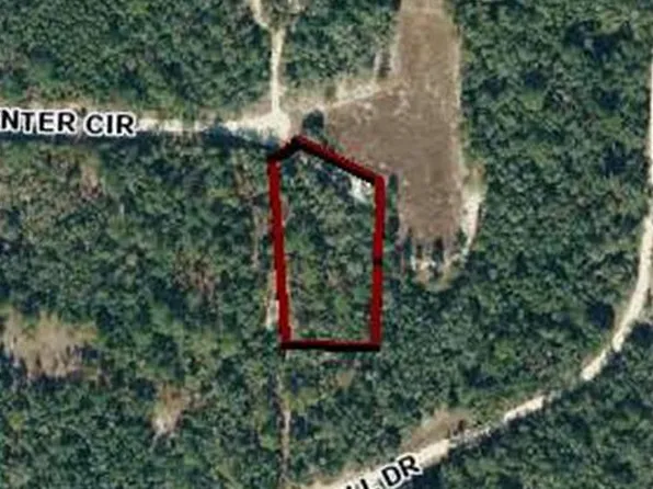 Carpenter Cir, Webster, FL 33597