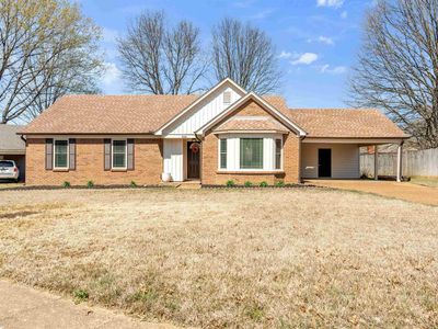 368 Little Oak Ln, Collierville, TN, 38017