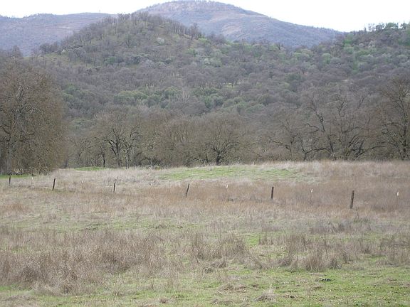 Completley Fenced & Cross Fenced