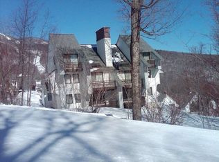 111 Timberline Rd S #M1, Killington, VT 05751