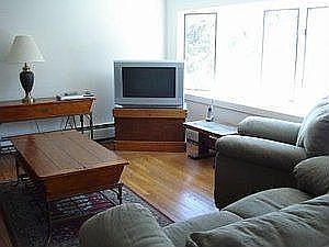 lving room pic 1