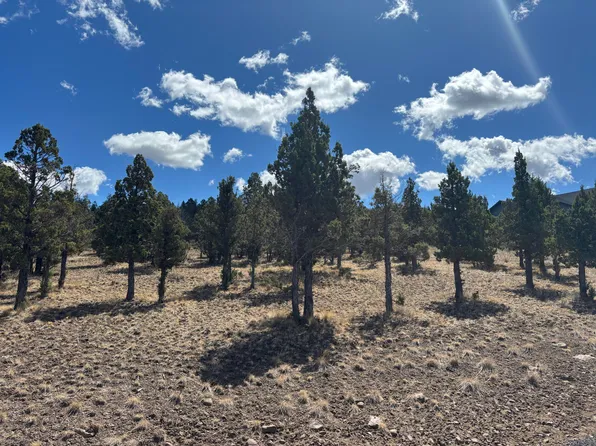 13092 SE Ethan Loop, Prineville, OR 97754