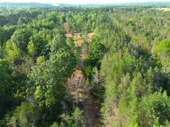 0 E 12th Rd, Manton, MI 49663