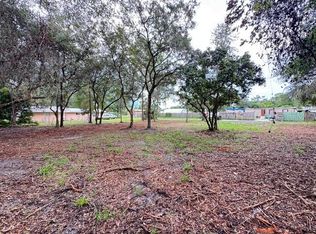 LUELLA AVENUE LOT 53, PAISLEY, FL 32767