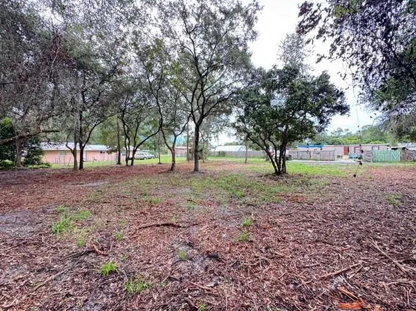 LUELLA AVENUE LOT 53, PAISLEY, FL 32767