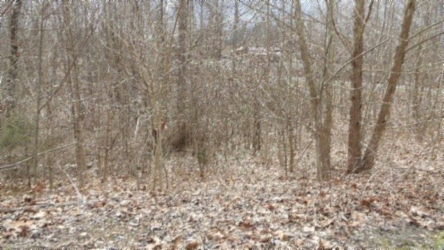 1st image of 0 Beaver Ln Lot 24
