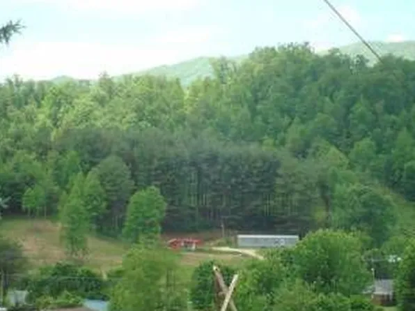 4514 Pine Orchard Rd, Butler, TN 37640