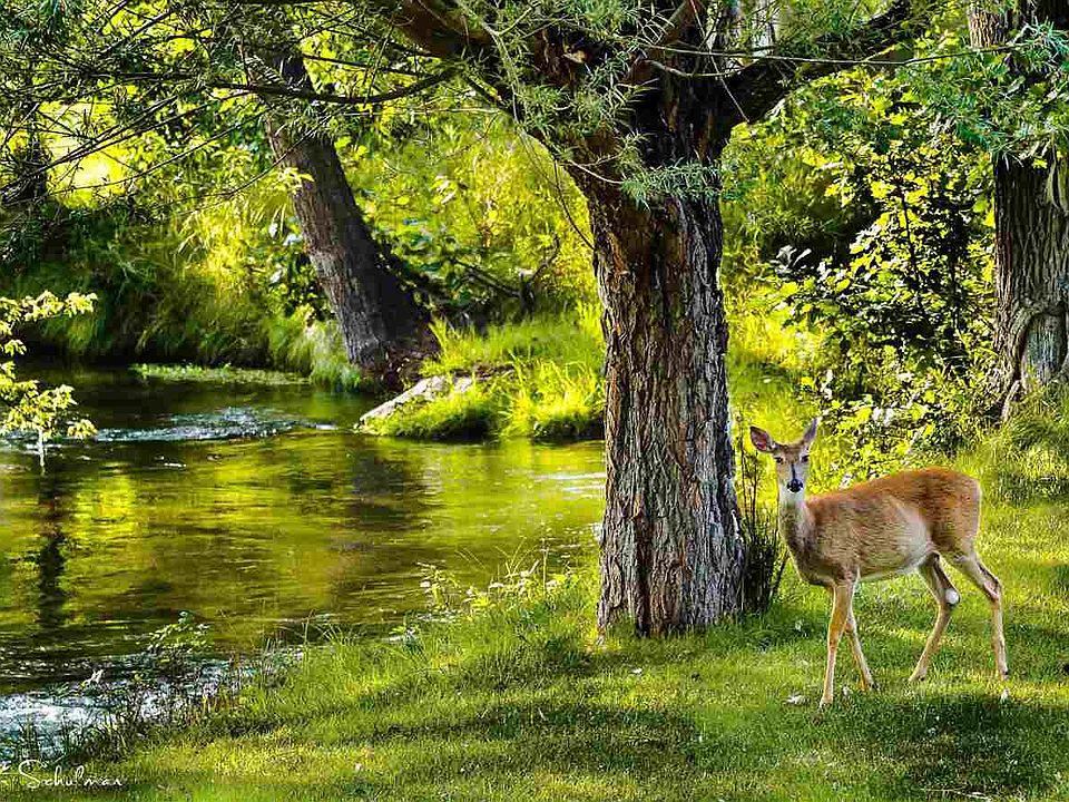 337 Sand Creek Rd, Beulah, WY 82712 Zillow