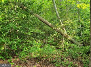 Passing Rd, Milford, VA 22514