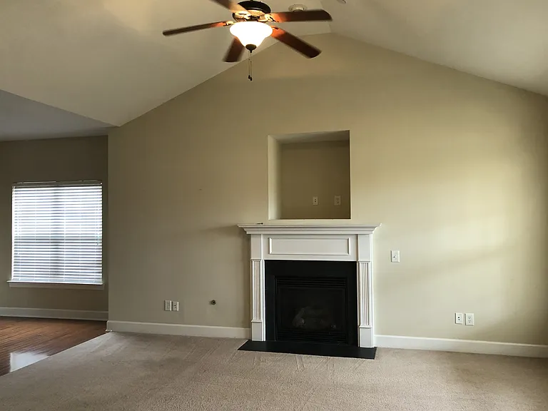 247 Dobson Branch Ct — Photo 6