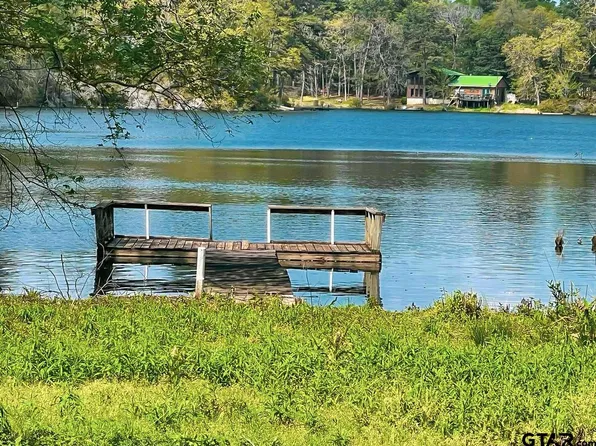 690 An County Rd #385, Palestine, TX 75801