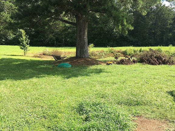 Backyard/one side of pond 