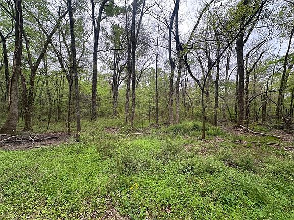 3rd image of 226 Butler Pool Rd Lot 1