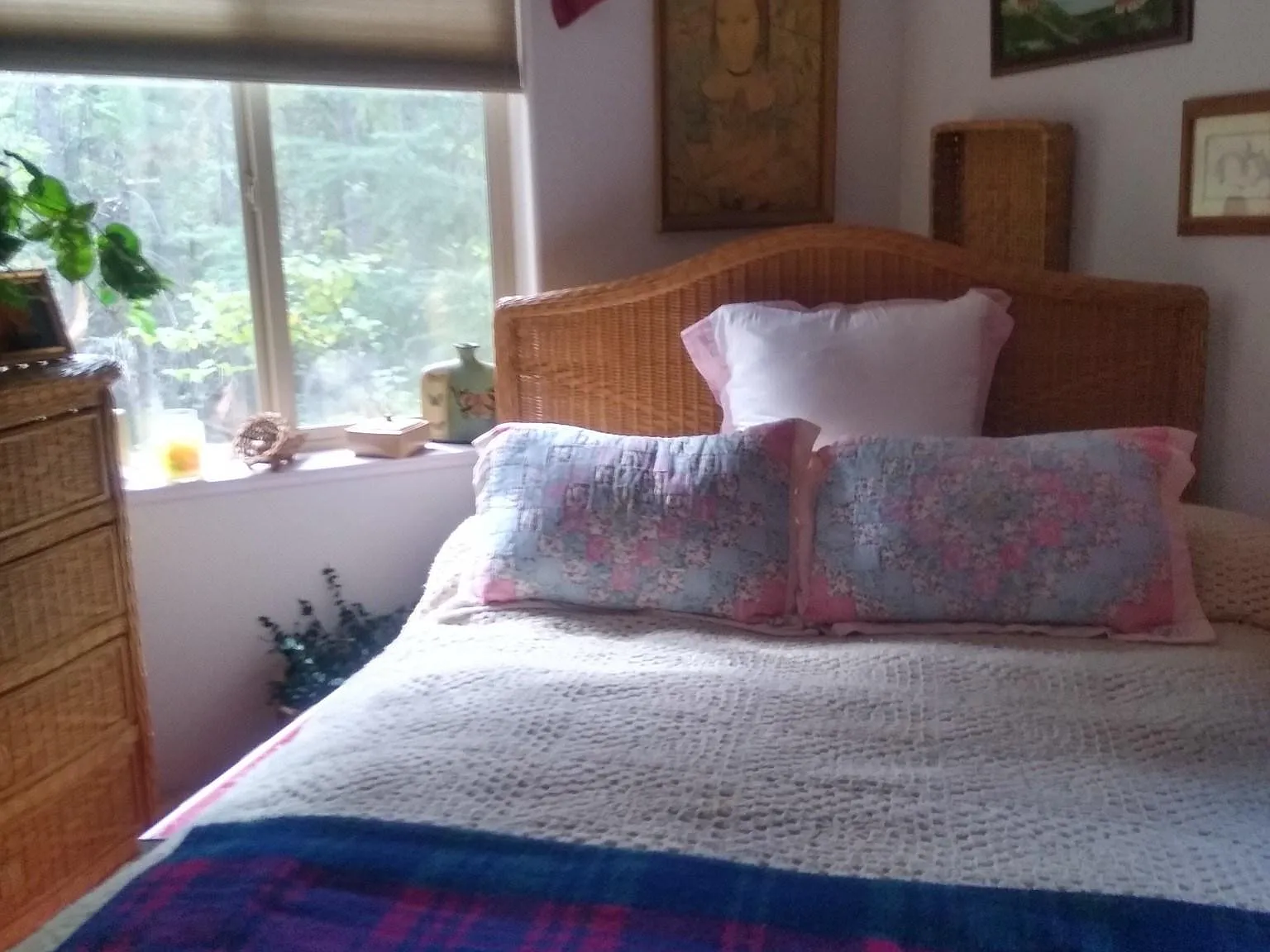 1 bed, $1,000 — Photo 1