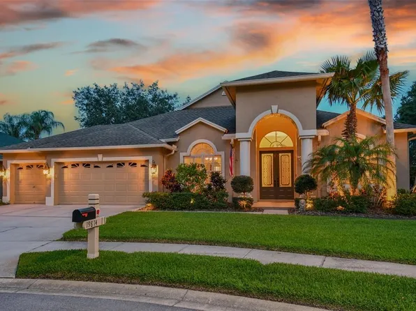 19814 Glazing Globe Ln, Lutz, FL 33558