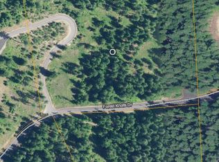 469 Forest Knolls Dr, Sandpoint, ID 83864