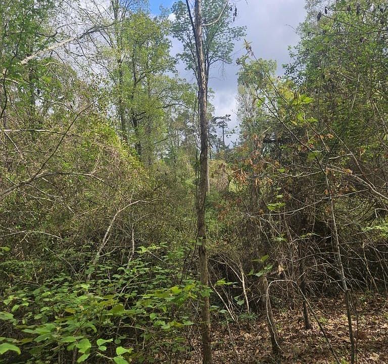 1st image of 0 Richard Linder Rd