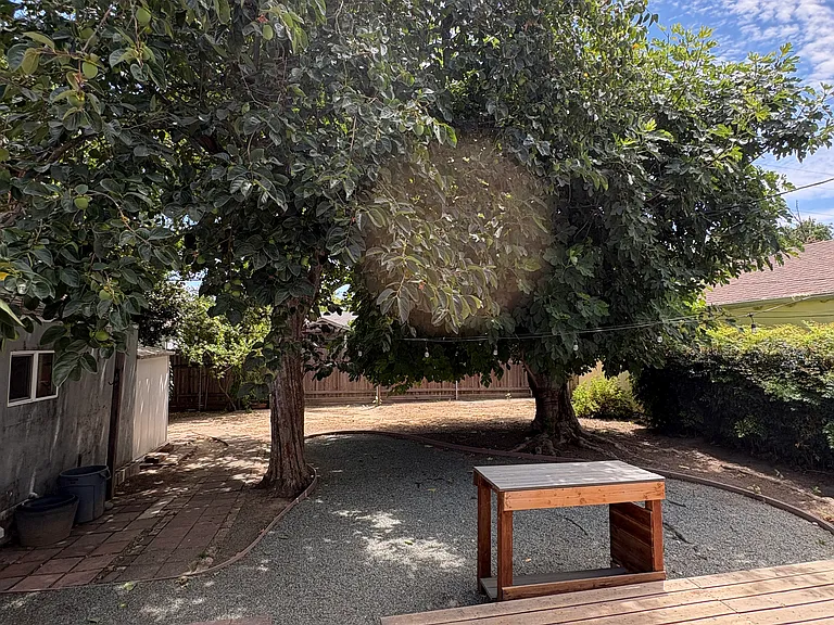 Backyard, picture taken from door in the dining room leaking out