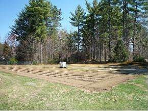 Large garden with lots of sun