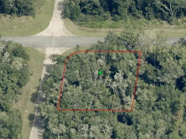 28 W Lynx Dr, Citrus Springs, FL 34434