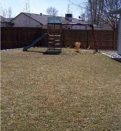 Plenty of back yard space 