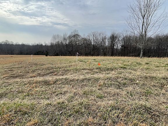5th image of 595 Sadlers Chapel Rd Lot 3